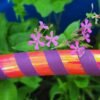 Adult Orange and Purple Hula Hoop