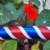 Adult Red, White, and Blue Hula Hoop