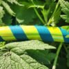 Yellow and Teal Hula Hoop