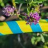 Yellow and Teal Hula Hoop