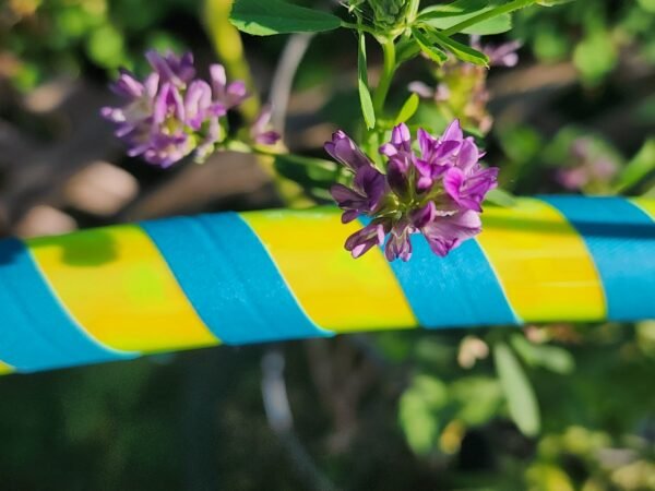 Yellow and Teal Hula Hoop