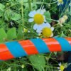 Youth Red and Blue Hula Hoop