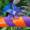 Kid Orange and Purple Hula Hoop
