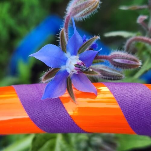 Kid Orange and Purple Hula Hoop