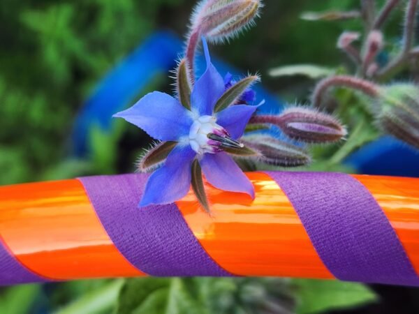 Kid Orange and Purple Hula Hoop