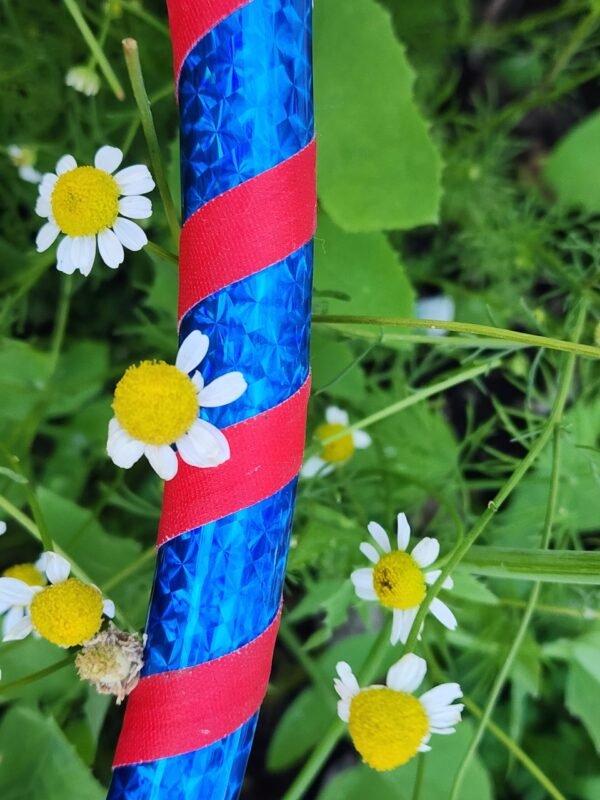 Kid Blue and Red Hula Hoop