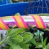 Kid Opalescent Hoop w/Pink and Orange stripes
